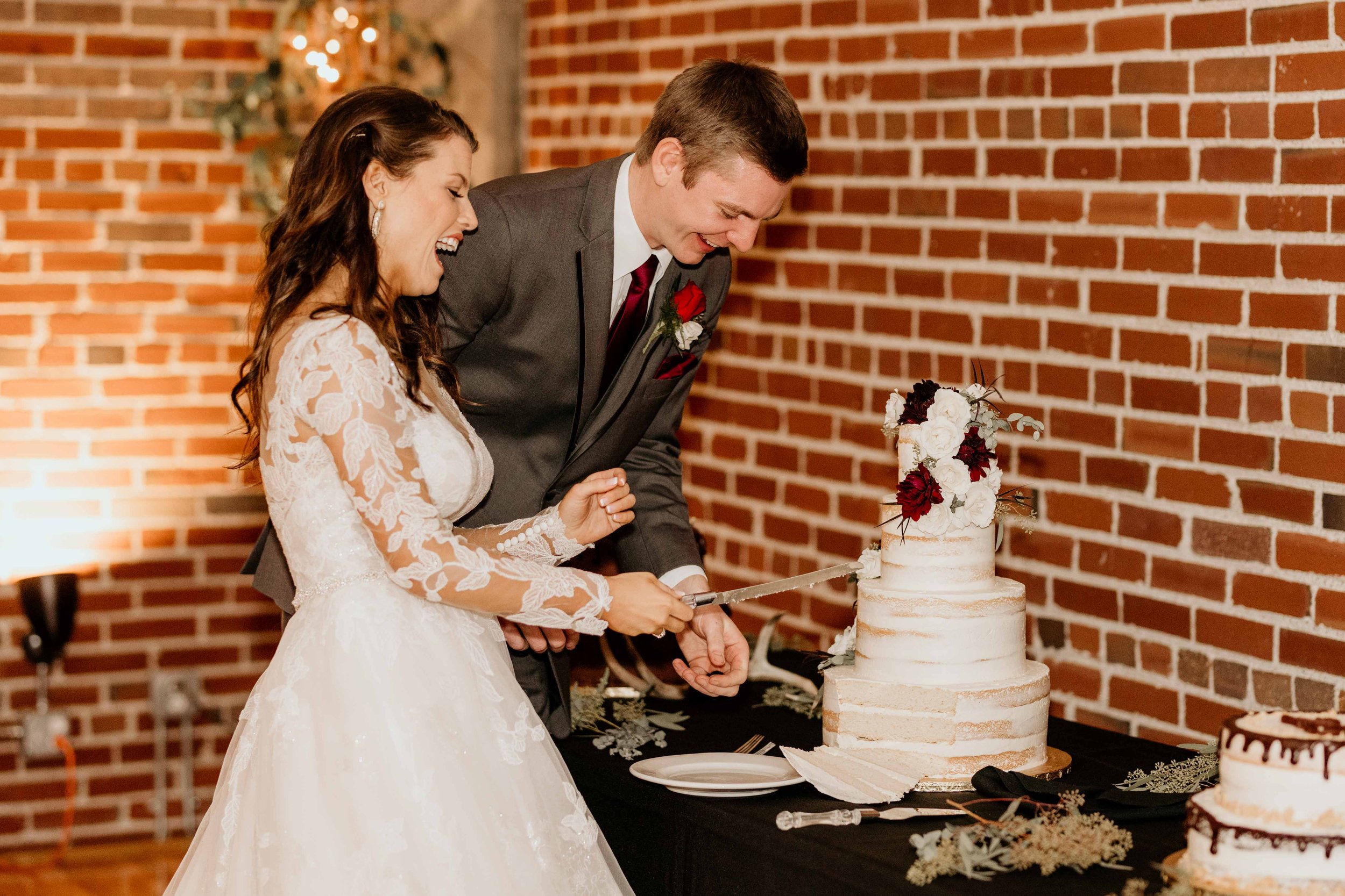 Illinois wedding photographer, Missouri wedding photographer, cake cutting