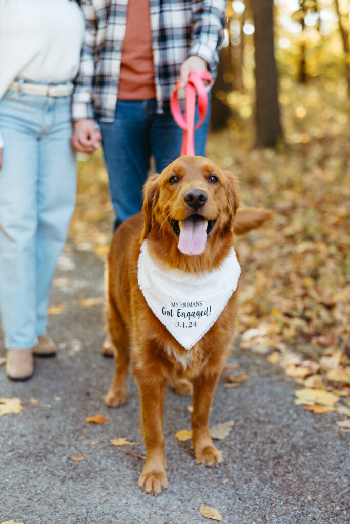 St. Louis wedding photographer with engaged couple at SIUE Gardens